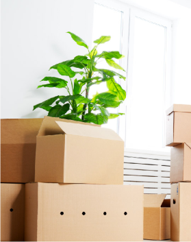cartons-demenagement-evras